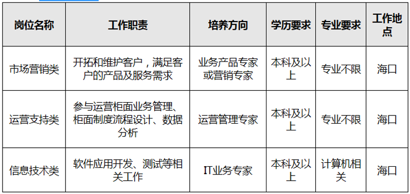 海南软件开发：数字经济的催化剂